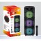 Ασύρματο τριπλό ηχείο Karaoke Partybox Bluetooth, ηχείο subwoofer 25W 3×8.5″ με ασύρματο μικρόφωνο, τηλεχειριστήριο και RGB φωτισμό